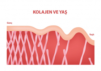 Kolajen Azalması Nedenleri Nelerdir?