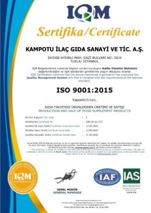 ISO-9001-2015-ENG
